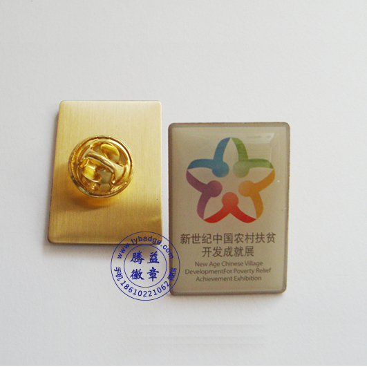 中国扶贫活动纪念徽章 胸针 胸章